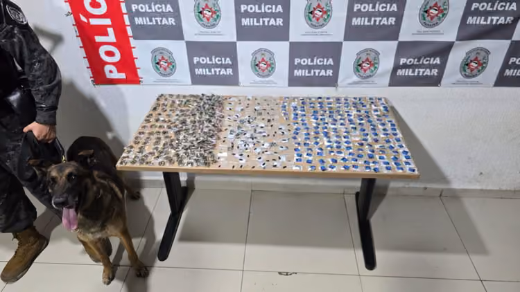 Cadela farejadora encontra mais de 500 porções de drogas em João Pessoa